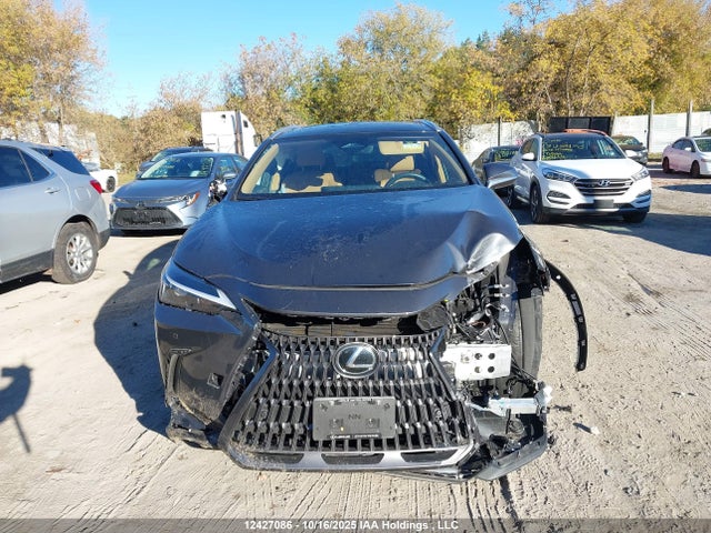 2025 Lexus Nx 350h 350h მანქანა იყიდება აუქციონზე, vin: 2T2GKCEZ0SC052394, აუქციონის ნომერი: 12427086