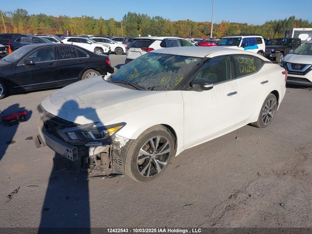 Nissan Maxima 2017 1N4AA6AP8HC369625 Image 2