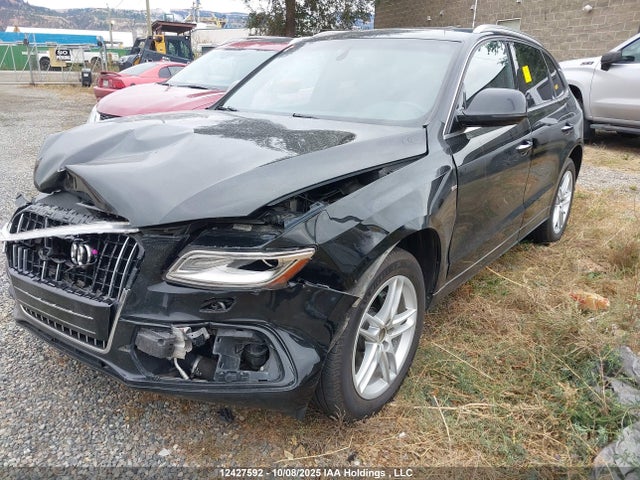 WA1W2AFP8GA006755 Audi flex fuel - e85
