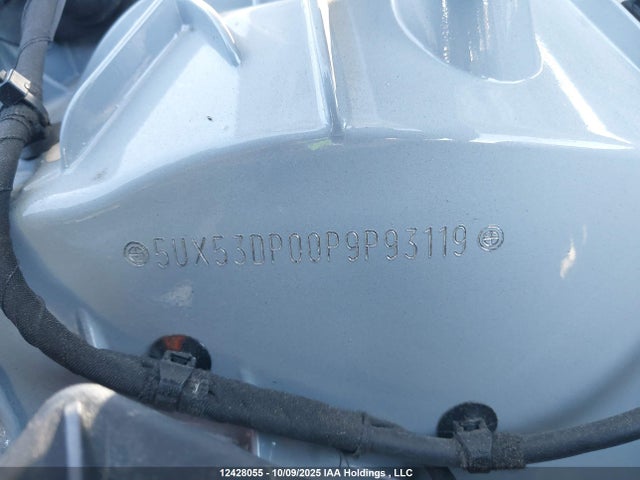 5UX53DP00P9P93119 BMW X3
