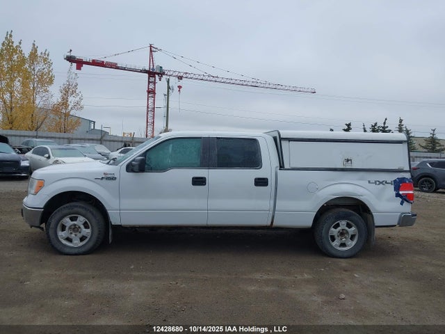 2013 Ford F-150 Xlt მანქანა იყიდება აუქციონზე, vin: 1FTFW1EF6DFA40713, აუქციონის ნომერი: 12428680