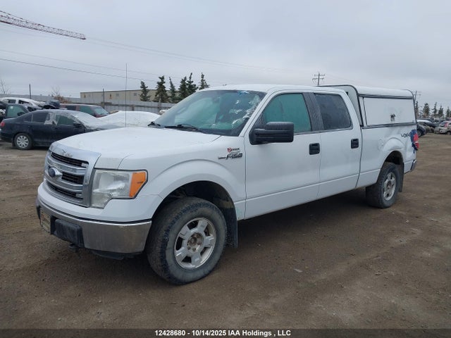 2013 Ford F-150 Xlt მანქანა იყიდება აუქციონზე, vin: 1FTFW1EF6DFA40713, აუქციონის ნომერი: 12428680