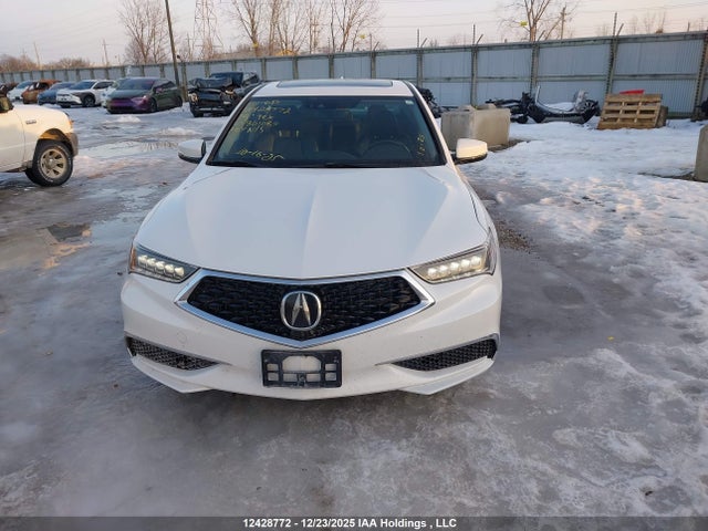 19UUB1F59KA801089 Acura TLX TECH