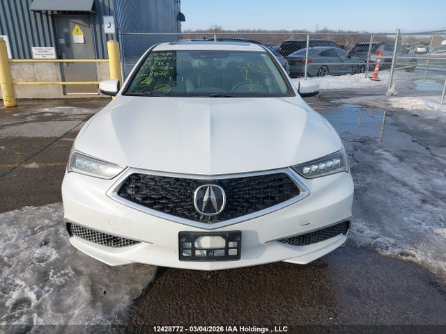 19UUB1F59KA801089 Acura TLX TECH