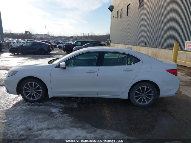 19UUB1F59KA801089 Acura TLX TECH