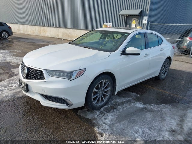 19UUB1F59KA801089 Acura TLX TECH