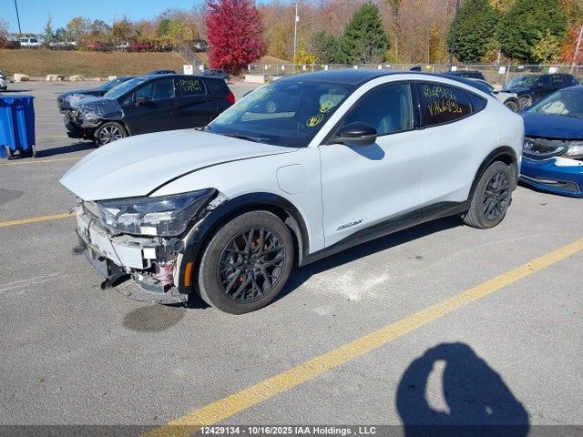 Продаж на аукціоні авто 2021 Ford Mustang Mach-e, vin: 3FMTK3SU0MMA66894, номер лоту: 12429134