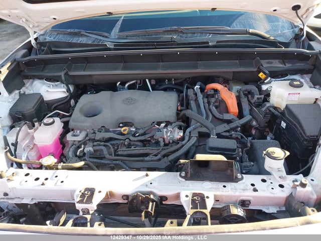 Toyota Highlander Hybrid Limited 2025 5TDEBRCH8SS652676 Image 10