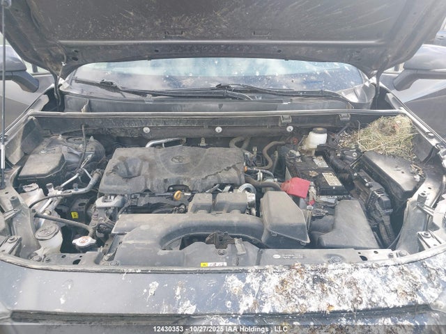 Продажа на аукционе авто 2023 Toyota Rav4 Le, vin: 2T3B1RFV9PC342115, номер лота: 12430353