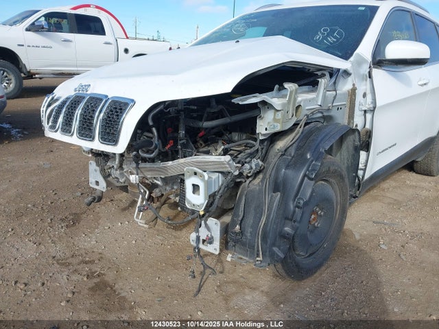 Jeep Cherokee 2019 1C4PJMDX3KD207214 Image 6