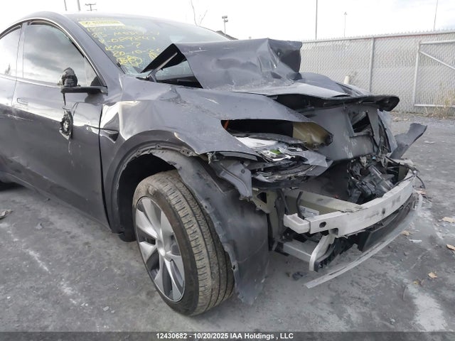 2023 Tesla Model Y მანქანა იყიდება აუქციონზე, vin: LRWYGDLE0PC029241, აუქციონის ნომერი: 12430682