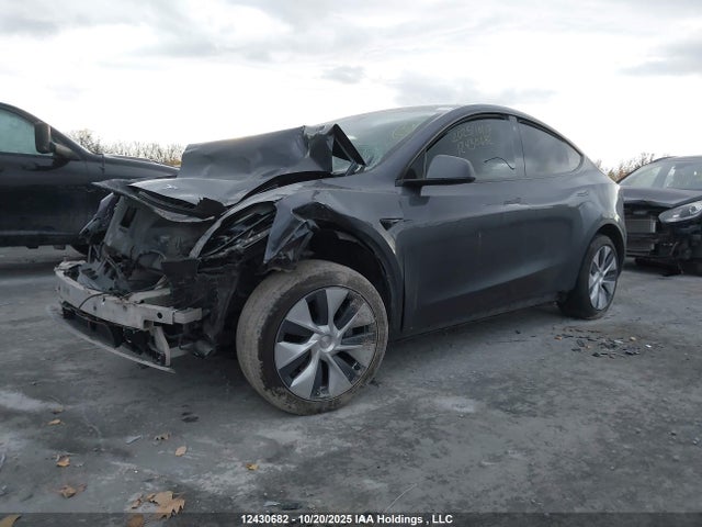 2023 Tesla Model Y მანქანა იყიდება აუქციონზე, vin: LRWYGDLE0PC029241, აუქციონის ნომერი: 12430682