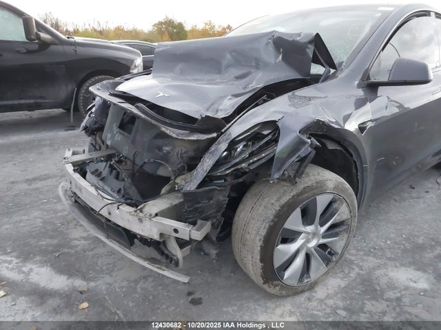 2023 Tesla Model Y მანქანა იყიდება აუქციონზე, vin: LRWYGDLE0PC029241, აუქციონის ნომერი: 12430682