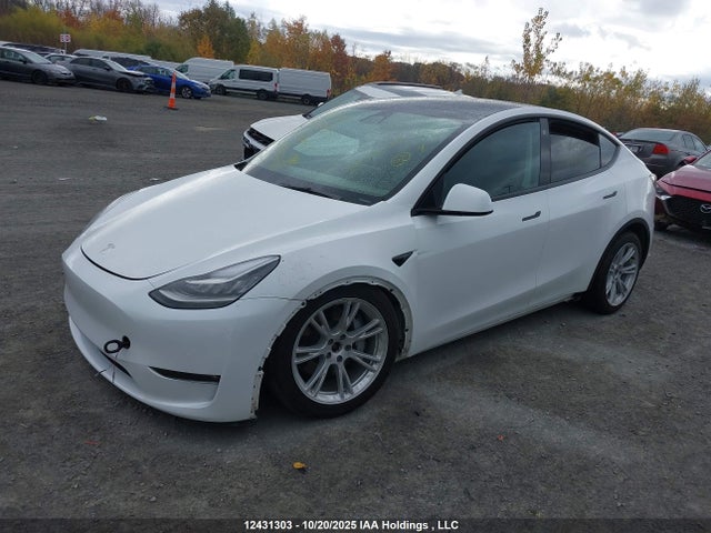 5YJYGDEEXMF295416 Tesla Model Y Long Range