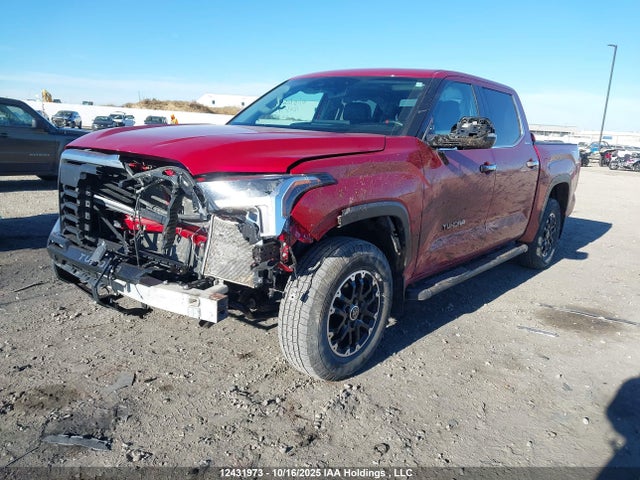 2023 Toyota Tundra Limited მანქანა იყიდება აუქციონზე, vin: 5TFJA5DB0PX116018, აუქციონის ნომერი: 12431973