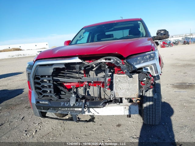 2023 Toyota Tundra Limited მანქანა იყიდება აუქციონზე, vin: 5TFJA5DB0PX116018, აუქციონის ნომერი: 12431973