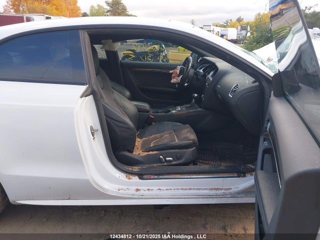 WAUV4AFR1HA000937 Audi S5 Dynamic