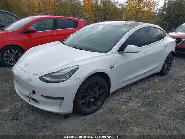 Tesla MODEL 3 2020 5YJ3E1EB0LF626510 Image 19