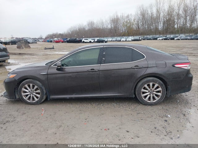 4T1B31HKXJU001786 Toyota CAMRY LE