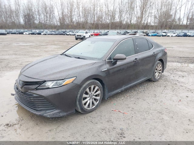 4T1B31HKXJU001786 Toyota CAMRY LE
