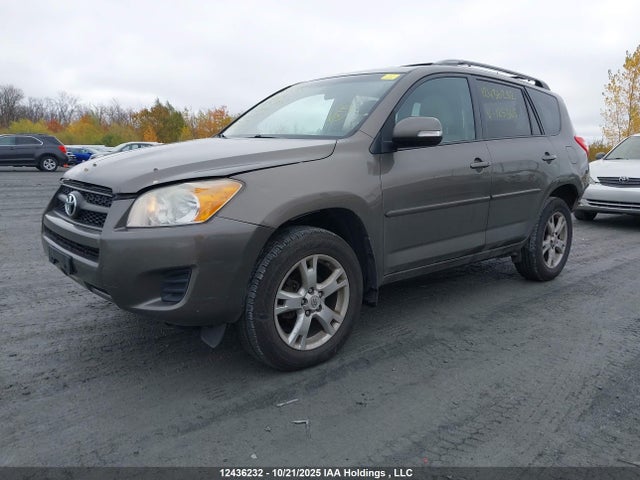 Продажа на аукционе авто 2011 Toyota Rav4, vin: 2T3BF4DV1BW125365, номер лота: 12436232