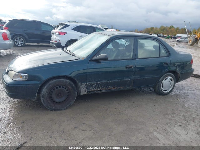 12436590 :رقم المزاد ، 2T1BR12E2XC749069 vin ، 1999 Toyota Corolla Ve/ce/le مزاد بيع