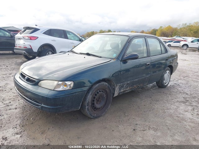 12436590 :رقم المزاد ، 2T1BR12E2XC749069 vin ، 1999 Toyota Corolla Ve/ce/le مزاد بيع