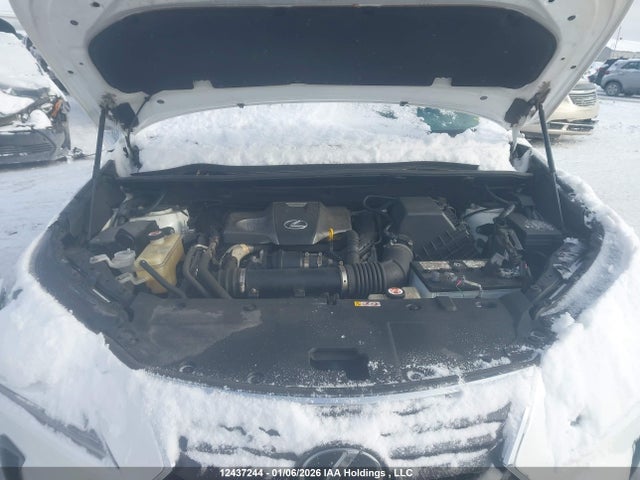 12437244 :رقم المزاد ، JTJBARBZ0K2194734 vin ، 2019 Lexus Nx 300 مزاد بيع