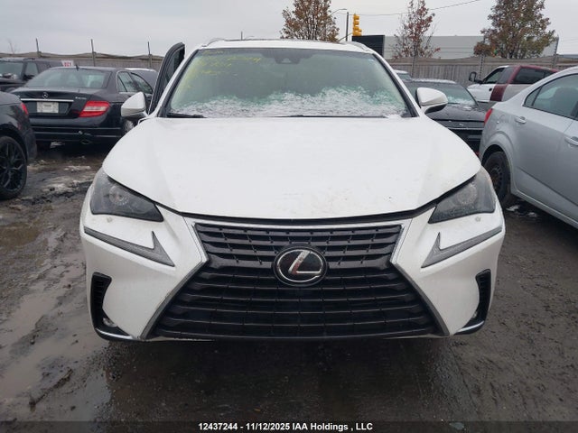 12437244 :رقم المزاد ، JTJBARBZ0K2194734 vin ، 2019 Lexus Nx 300 مزاد بيع