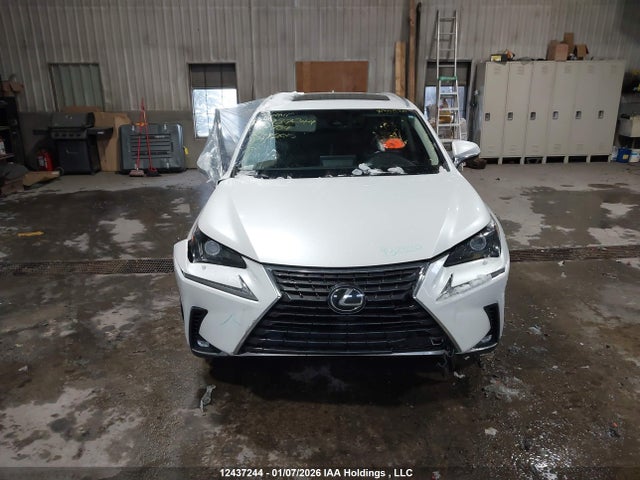 12437244 :رقم المزاد ، JTJBARBZ0K2194734 vin ، 2019 Lexus Nx 300 مزاد بيع