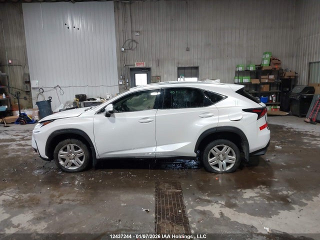 12437244 :رقم المزاد ، JTJBARBZ0K2194734 vin ، 2019 Lexus Nx 300 مزاد بيع