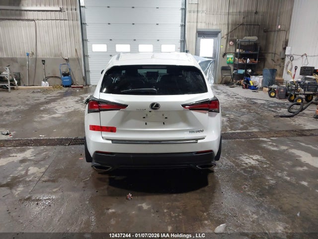 12437244 :رقم المزاد ، JTJBARBZ0K2194734 vin ، 2019 Lexus Nx 300 مزاد بيع
