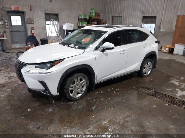 12437244 :رقم المزاد ، JTJBARBZ0K2194734 vin ، 2019 Lexus Nx 300 مزاد بيع