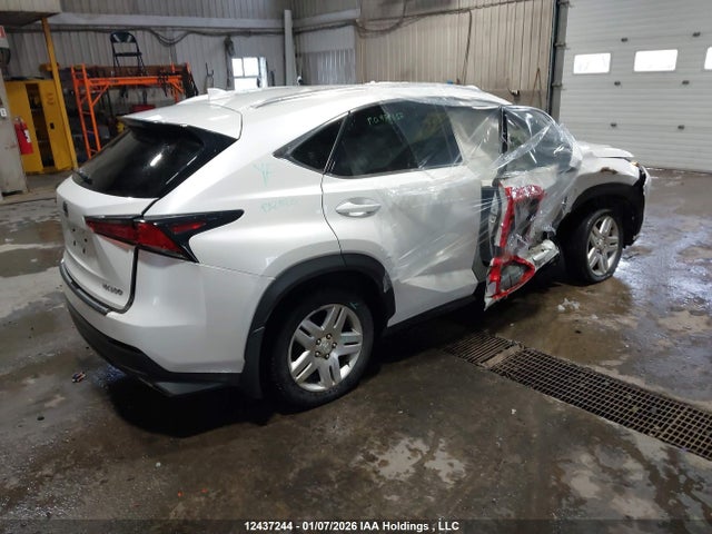 12437244 :رقم المزاد ، JTJBARBZ0K2194734 vin ، 2019 Lexus Nx 300 مزاد بيع