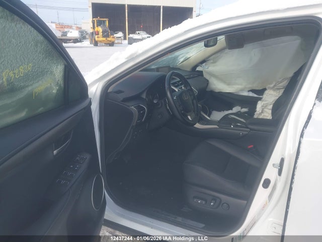 12437244 :رقم المزاد ، JTJBARBZ0K2194734 vin ، 2019 Lexus Nx 300 مزاد بيع