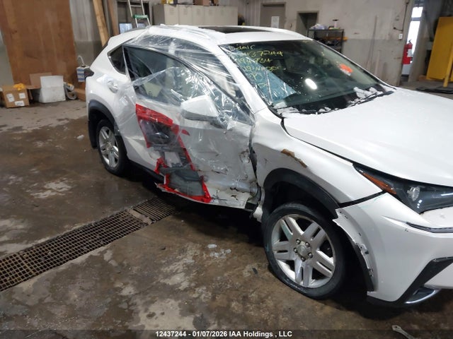 12437244 :رقم المزاد ، JTJBARBZ0K2194734 vin ، 2019 Lexus Nx 300 مزاد بيع