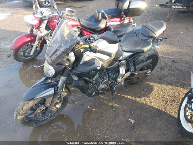 Yamaha FZ07 2015 JYARM06N3FA001060 Image 2