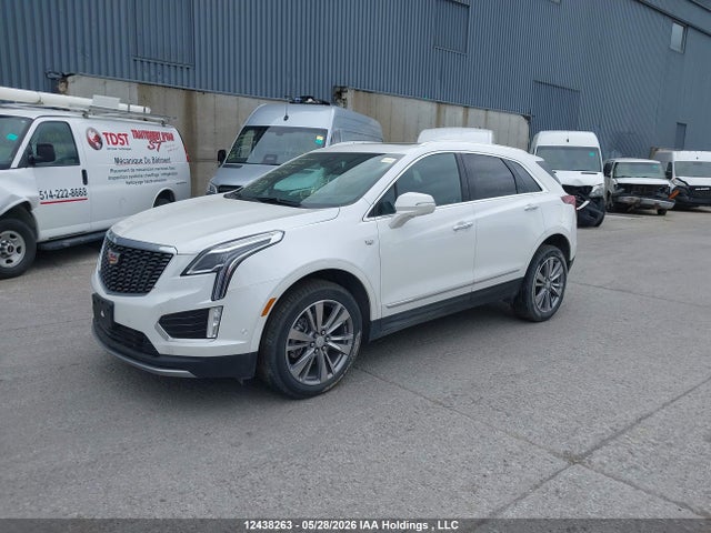 Auction sale of the 2025 Cadillac Xt5 Premium Luxury, vin: 1GYKNDRS5SZ107916, lot number: 12438263