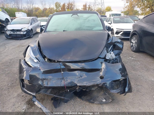 2024 Tesla Model Y Long Range მანქანა იყიდება აუქციონზე, vin: 7SAYGDEE2RF092966, აუქციონის ნომერი: 12438341
