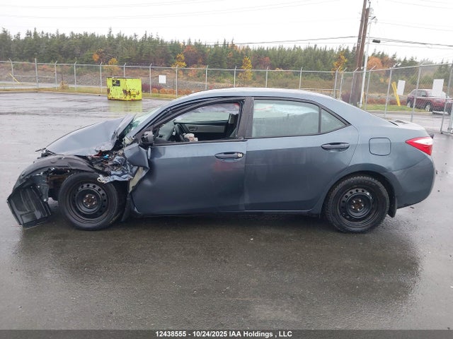 2T1BURHE6GC559828 Toyota Corolla L/le/le Pls/prm/s/s Pls