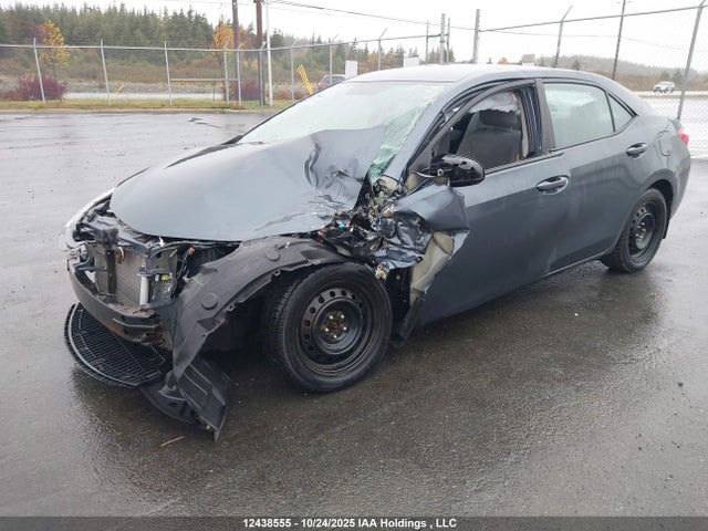 2T1BURHE6GC559828 Toyota Corolla L/le/le Pls/prm/s/s Pls