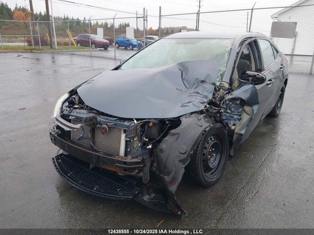 2T1BURHE6GC559828 Toyota Corolla L/le/le Pls/prm/s/s Pls