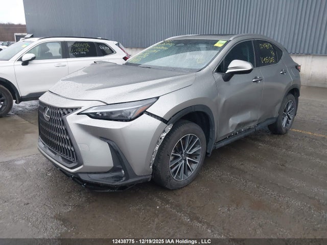 12438775 :رقم المزاد ، JTJHKCFZXS2051305 vin ، 2025 Lexus Nx 450h+ مزاد بيع