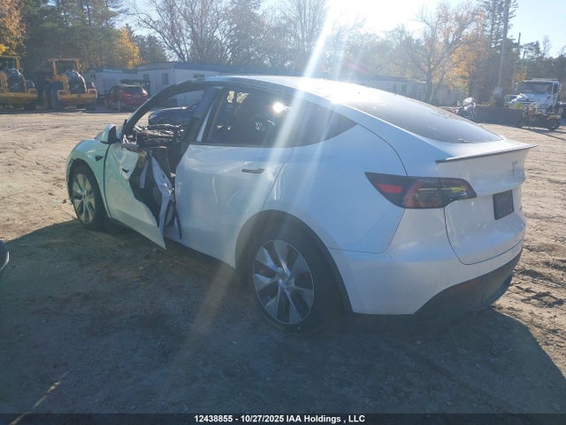 Tesla Model Y 2022 7SAYGDEF7NF500073 Image 3