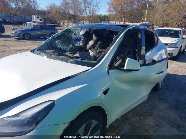 Tesla Model Y 2022 7SAYGDEF7NF500073 Image 6