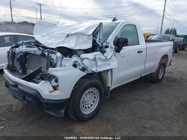 3GCNDAEK7RG249527 Chevrolet Silverado K1500