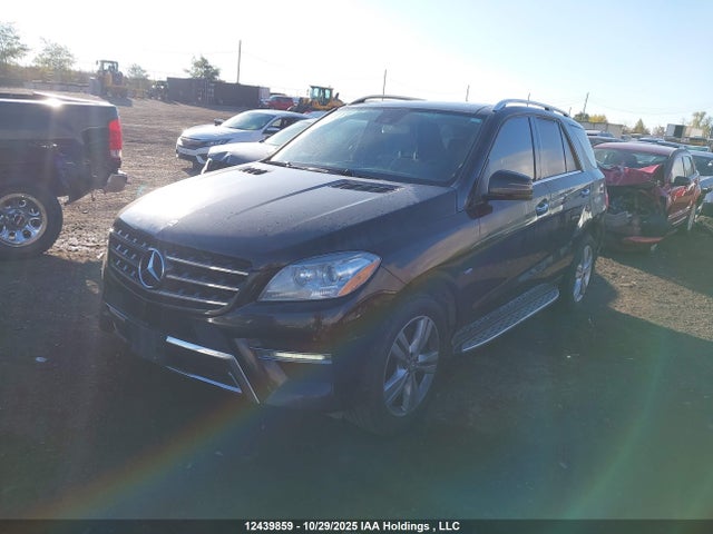 12439859 :رقم المزاد ، 4JGDA5HB2CA040043 vin ، 2012 Mercedes-benz Ml 350 4matic مزاد بيع