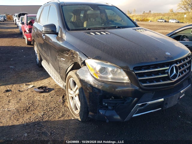 12439859 :رقم المزاد ، 4JGDA5HB2CA040043 vin ، 2012 Mercedes-benz Ml 350 4matic مزاد بيع