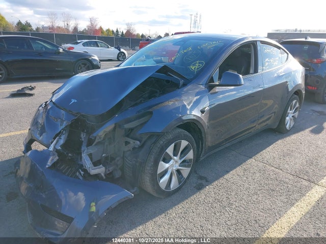 Продаж на аукціоні авто 2023 Tesla Model Y Long Range, vin: 7SAYGDEE6PF775878, номер лоту: 12440381