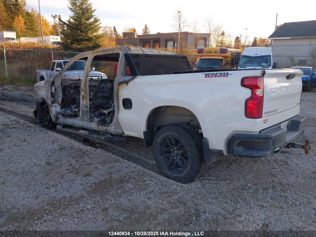 Продаж на аукціоні авто 2024 Chevrolet Silverado 1500 Custom Trail Boss, vin: 3GCUDCED7RG145984, номер лоту: 12440934